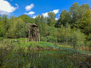 Zoo sun landscapes
Słoneczne widoki ZOO