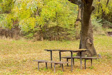 bench with table in the autumn park