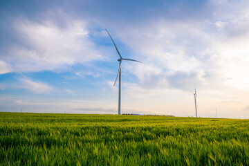 Wind farm in a picturesque field of unripe wheat against a blue sky with clouds.