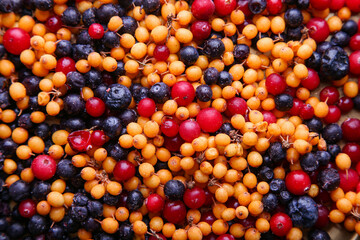 Frozen berries. Blueberries, sea buckthorn, cranberries and blueberries. Healthy eating concept