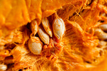 Pumpkin Cut Off to Show the Seeds Inside
