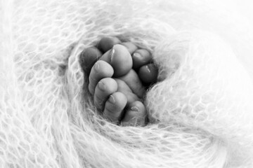 Legs, toes, feet and heels of a newborn baby. Wrapped in knitted blanket. Black and white photo.