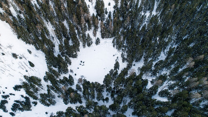 Drone view from forest in winter