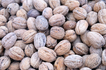Noix en gros plan