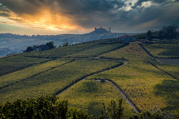 the vineyards in the Piedmontese Langhe in autumn at the time of the grape harvest