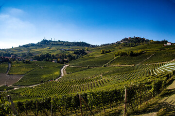 Fototapeta na wymiar Landscapes of the Piedmontese Langhe with its vines in autumn, during the grape harvest