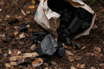 Barbecue charcoal from the package on the ground.