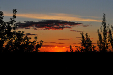 Colorful sunset. The sun is setting. Silhouettes of trees