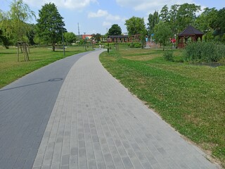 Road in the park