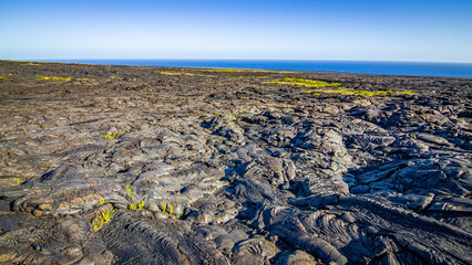 Amazing colors of black ground and green plants. Blue ocean on the horizon. Chain of craters road, Hawaii volcanoes national park. Hawaii.