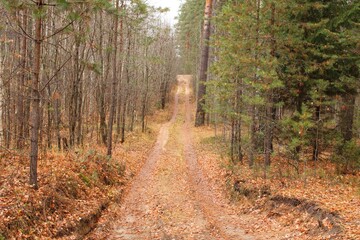 there's a house somewhere