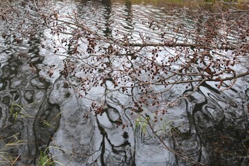 autumn and water