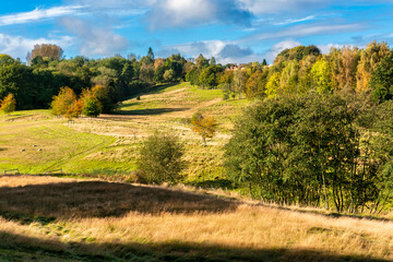 Fototapeta na wymiar Autumn countryside around Brenchley near Royal Tunbridge Wells in Kent, England