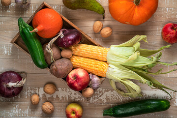 Top view of organic vegetables and fruits at the box. Top table view of wooden box with corns, pumpkin, apples, nuts, onion, potato, garlic, zucchini, carrot, pear