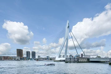 Cercles muraux Pont Érasme Rotterdam, Zuid-Holland Province, The Netherlands
