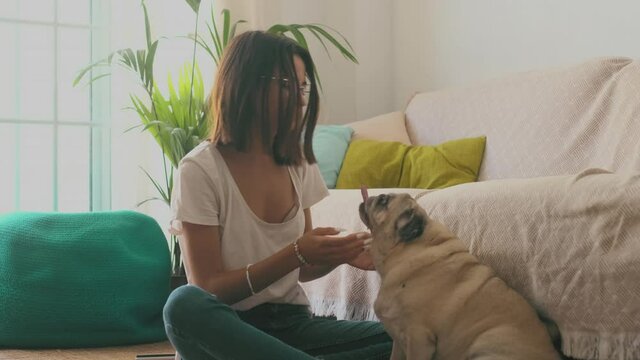 Portrait of beautiful woman in eyeglasses having fun with her pet pug dog sitting on floor in the living room of her house. Cheerful woman spending leisure time with her cute pet dog at home
