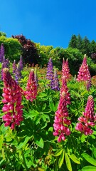 Fus&eacute;es color&eacute;es