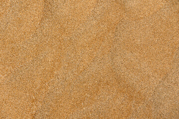 Textural background of yellow orange sand of the sea or desert