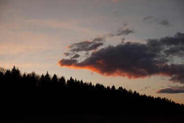 Fototapeta premium Evening landscape. Forest and cloud.