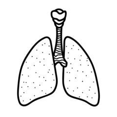 Illustration of human lungs diaphragm isolated on white background.Respiratory organ.Illustration in ink hand drawn style.