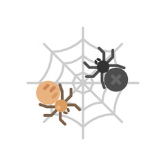 Flat Geometric Spiders on The Web