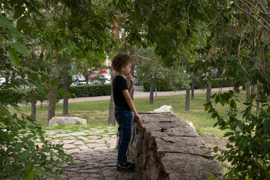 A little boy stands on a stone bridge. The boy thought about it. The photo