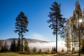 Autumn morning fog above agricultural fields in valley. Hälsingland, Sweden