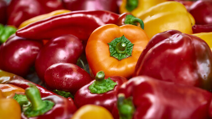 Colorful peppers background on the wooden background