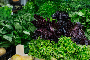 juicy, fresh and ripe greens, salads at the farmers' market