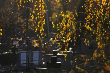 Obraz premium Cemetery, All Saints' Day, Poland