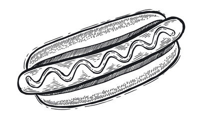 Hot dog hand drawn illustration.