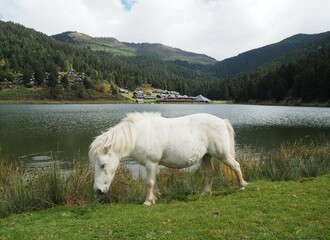 Lac de Payolle dans les Pyrénées