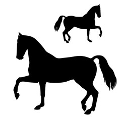 Fototapeta na wymiar isolated black silhouette of a trotting horse on a white background