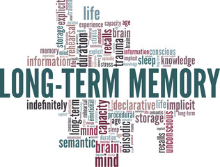 Long-Term Memory vector illustration word cloud isolated on white background.