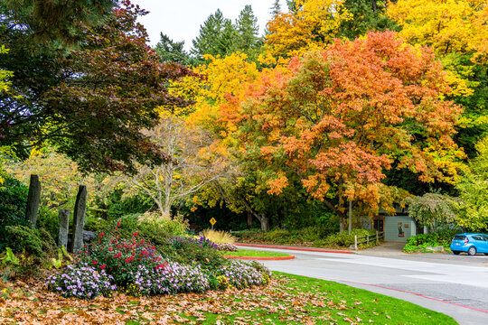 Colorful Autumn Seward Park 4