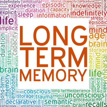 Long-Term Memory vector illustration word cloud isolated on white background.