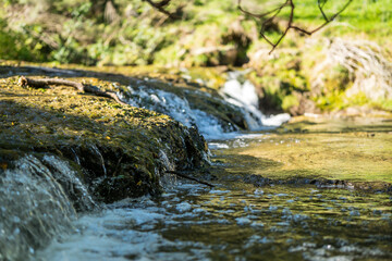 Waihi falls near Dannevirke and Pongaroa, New Zealand North Island