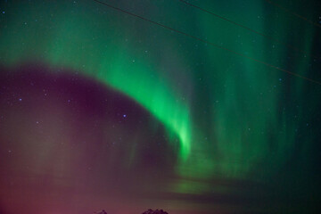 Fototapeta na wymiar Un ciel illuminé par une aurore boréale aux îles Lofoten en Norvège.