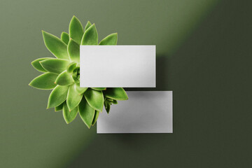 Clean minimal business card mockup on green plant with light and shadow