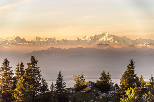 View of Mont-Blanc in the early mooring from Jura mountain