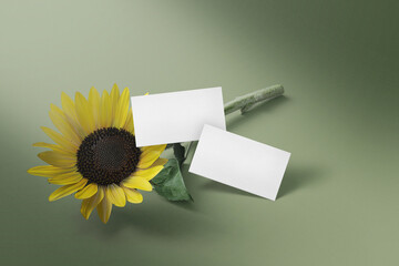 Clean minimal business card mockup floating with sunflower