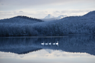 Mirror Lake Alaska