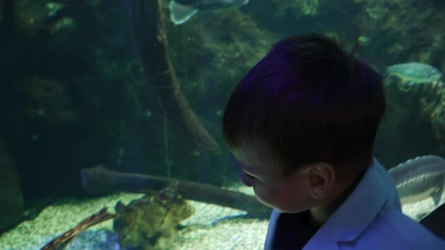 Boy in a jacket looks at fish