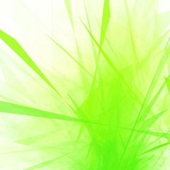 bright juicy green grass flooded with light bright background vector