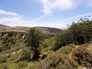 Obraz premium landscape with sky
