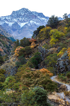Landscape of the Vereda la Estrella with the peak of the Alcazaba with snow in the background, in the mountains of Sierra Nevada, Granada.