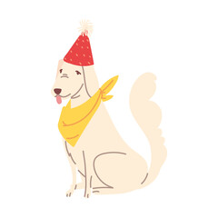 dog with party hat