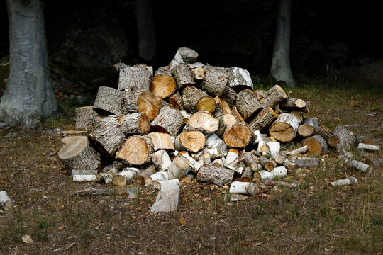 pile of split firewood