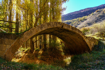 Stone arch bridge over leaf covered path in autumn.