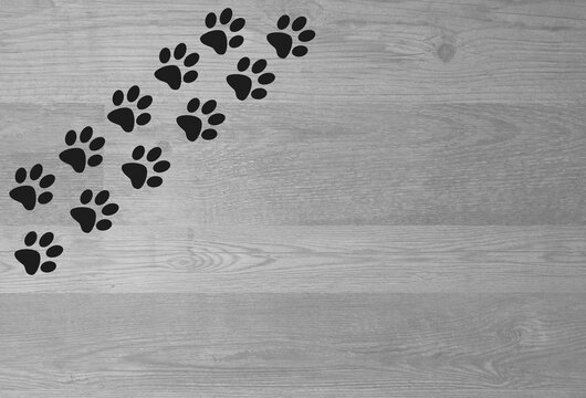 Animal pet paw prints track on a wooden texture background.